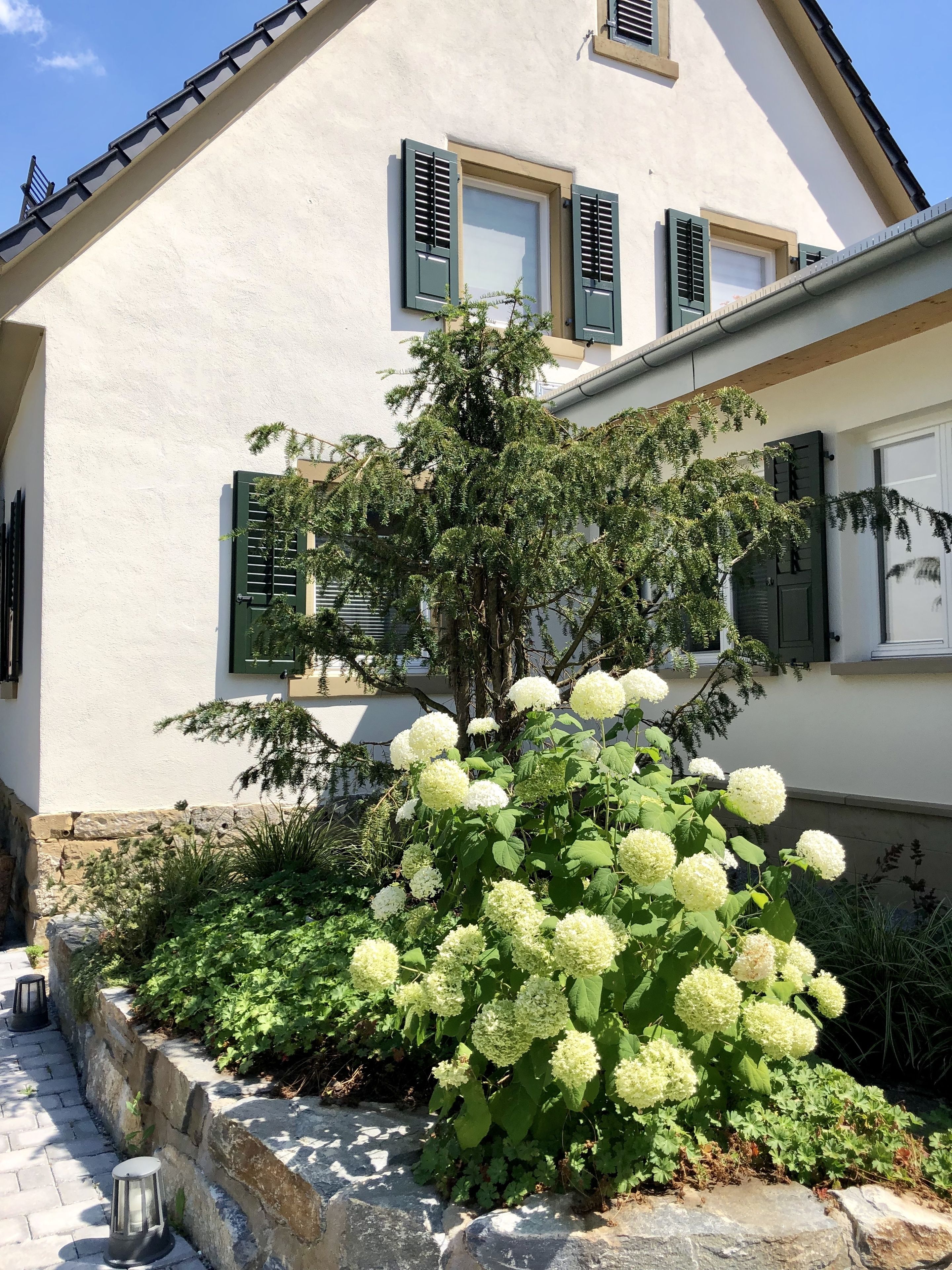 A building with a stone pathway, a tree with white flowers, and a window with shutters.
