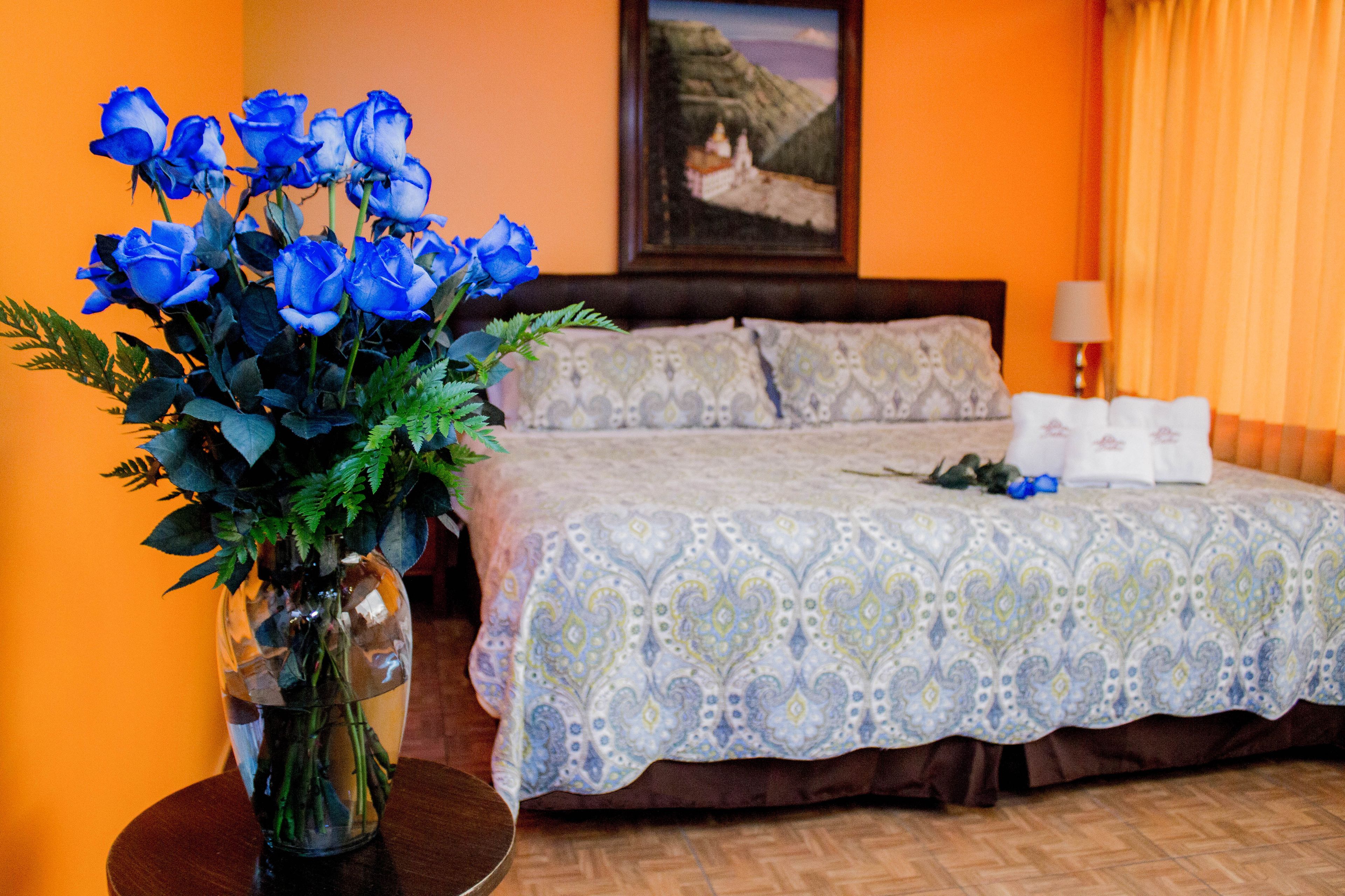 Premium Suite, 1 King Bed