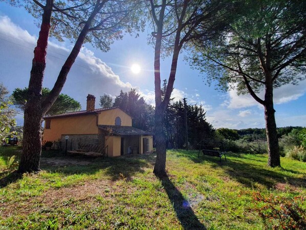 A house with a stone chimney, surrounded by trees and a grassy yard.