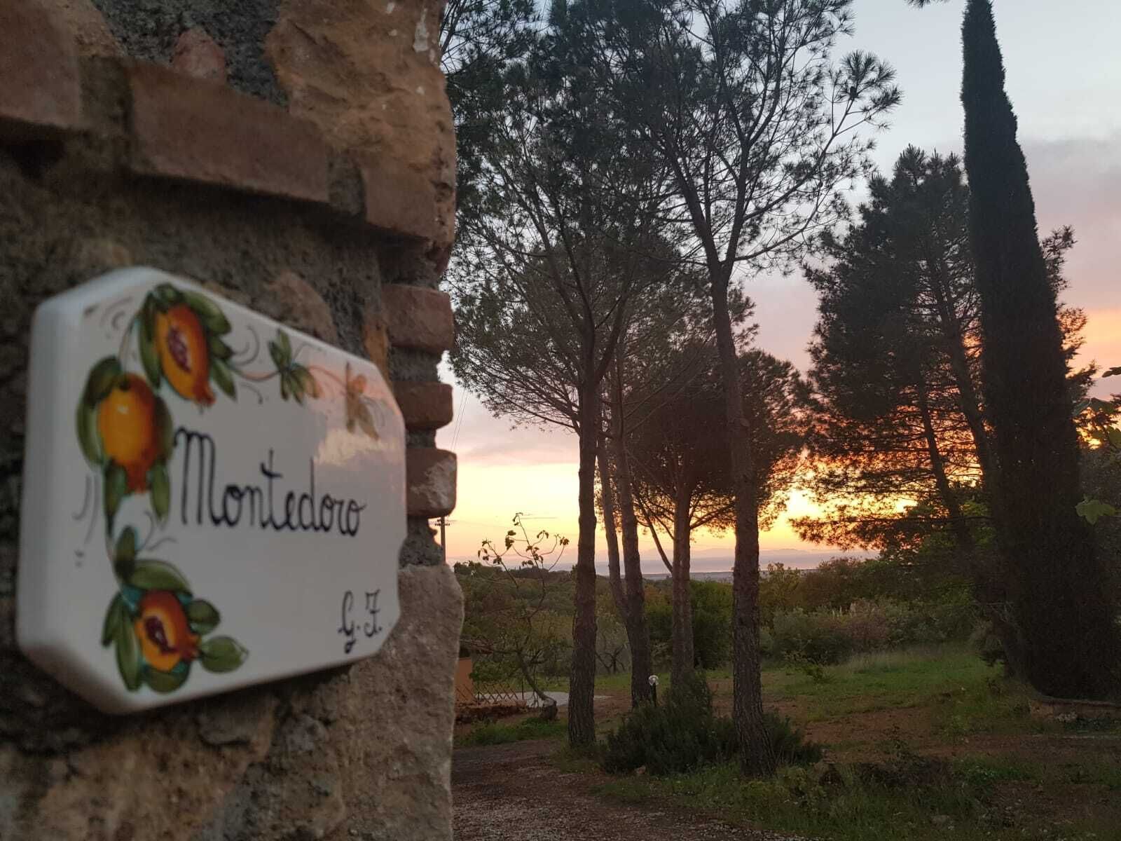 Eine rustikale Steinmauer mit einem dekorativen Schild, auf dem "Monticello" steht und ein Fruchtmotiv zeigt.