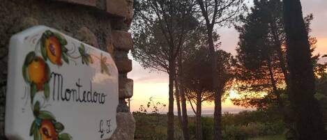 Eine rustikale Steinmauer mit einem dekorativen Schild, auf dem "Monticello" steht und ein Fruchtmotiv zeigt.
