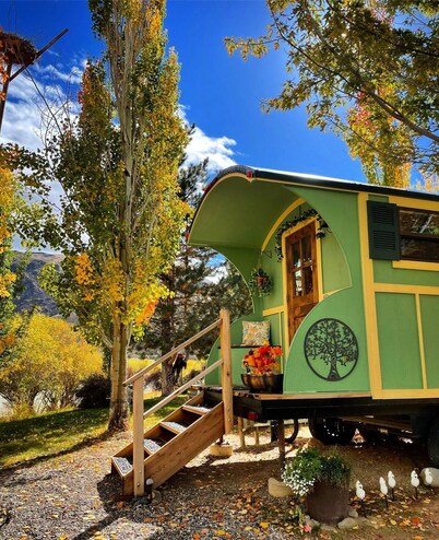 No Fees! Riverfront Gypsy Wagon on Mini Donkey Ranch!