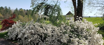 PRICES REDUCED FOR ALL NIGHTS IN MAY! May-August 15% off 7 nights or more!