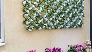 A wall-mounted flower grid with white flowers and a row of potted pink flowers below.