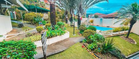 A well-maintained garden with a swimming pool, palm trees, and various plants.