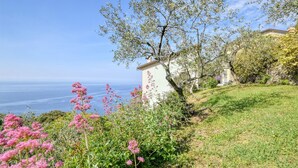 A coastal property with a white building, lush greenery, and a view of the sea. - S. Rocco dimora tra ulivi e M. (Zoagli)