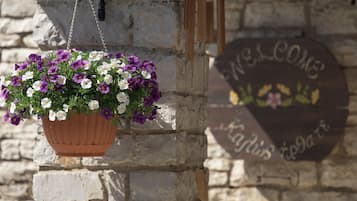 Una maceta colgante con flores moradas y blancas frente a un muro de piedra.