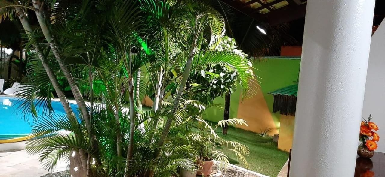 Ein Poolbereich mit Palmen und einer grünen Wand im Hintergrund.