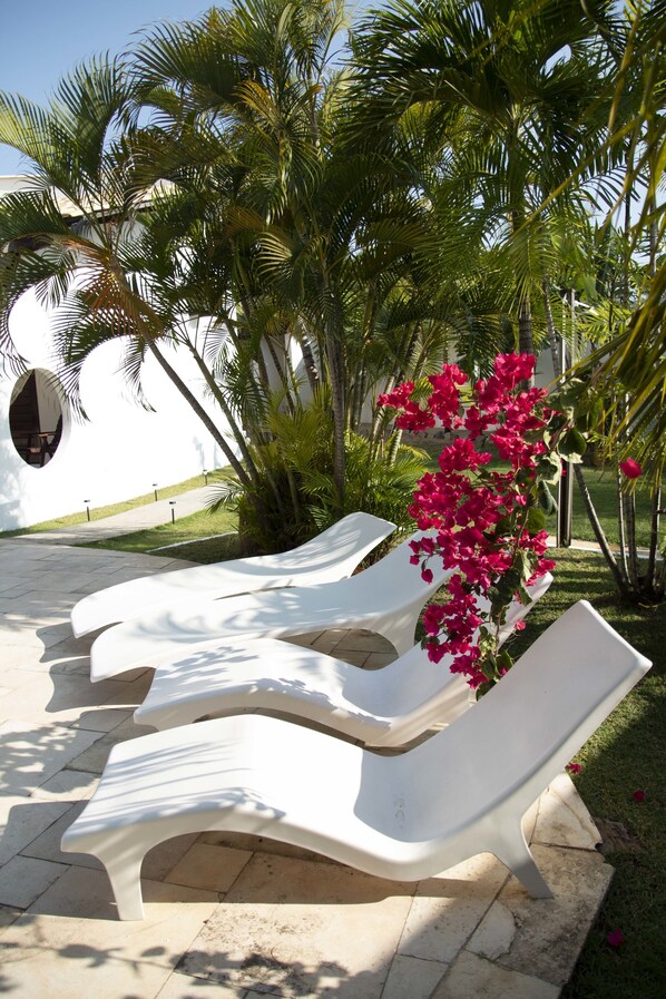 Outdoor lounge chairs, palm trees, and a pink flowering plant.