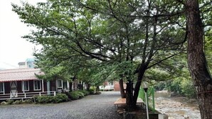 Un sendero de grava que conduce a un edificio de madera con techo rojo, rodeado de árboles y un río.