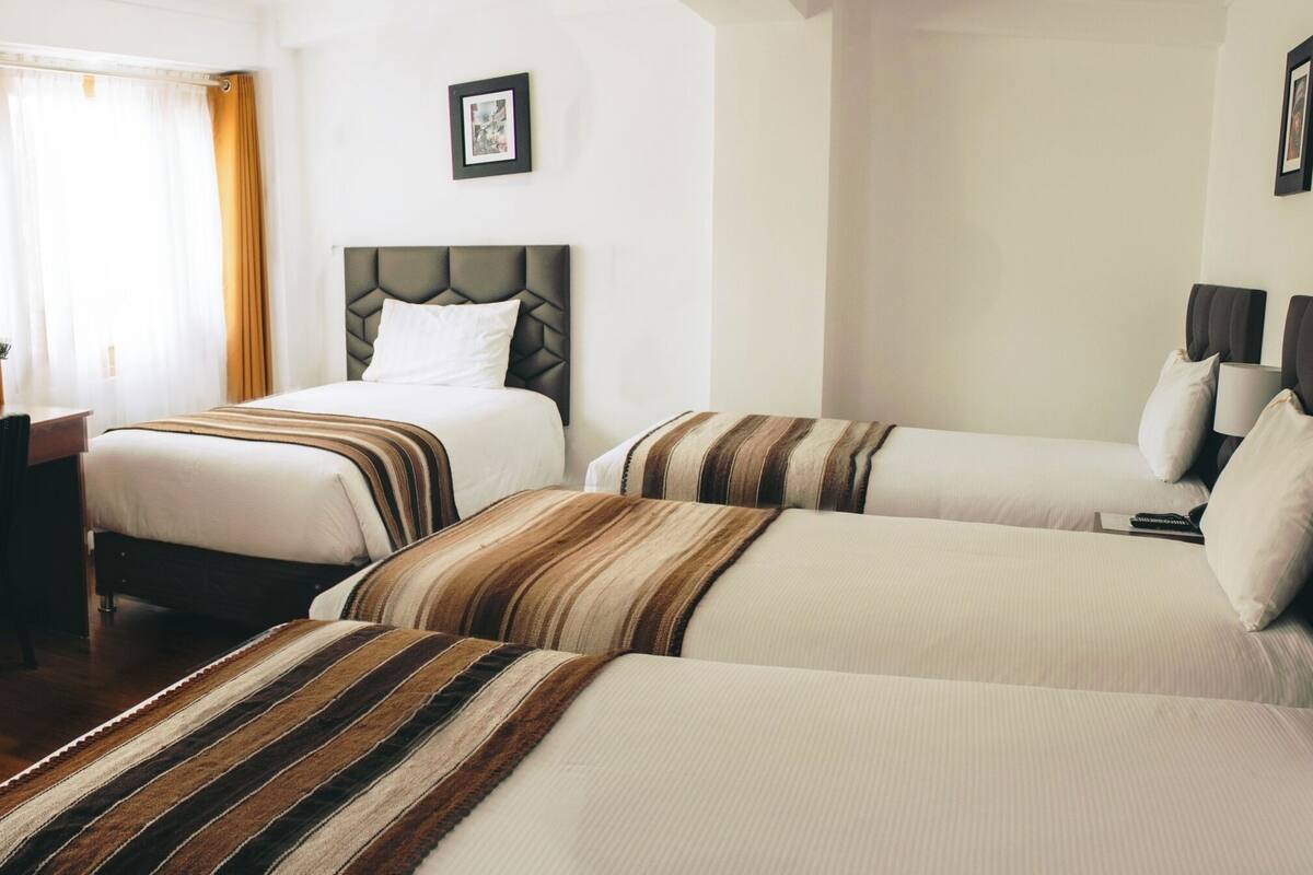 A hotel room with two beds, a desk, a TV, and a potted plant.