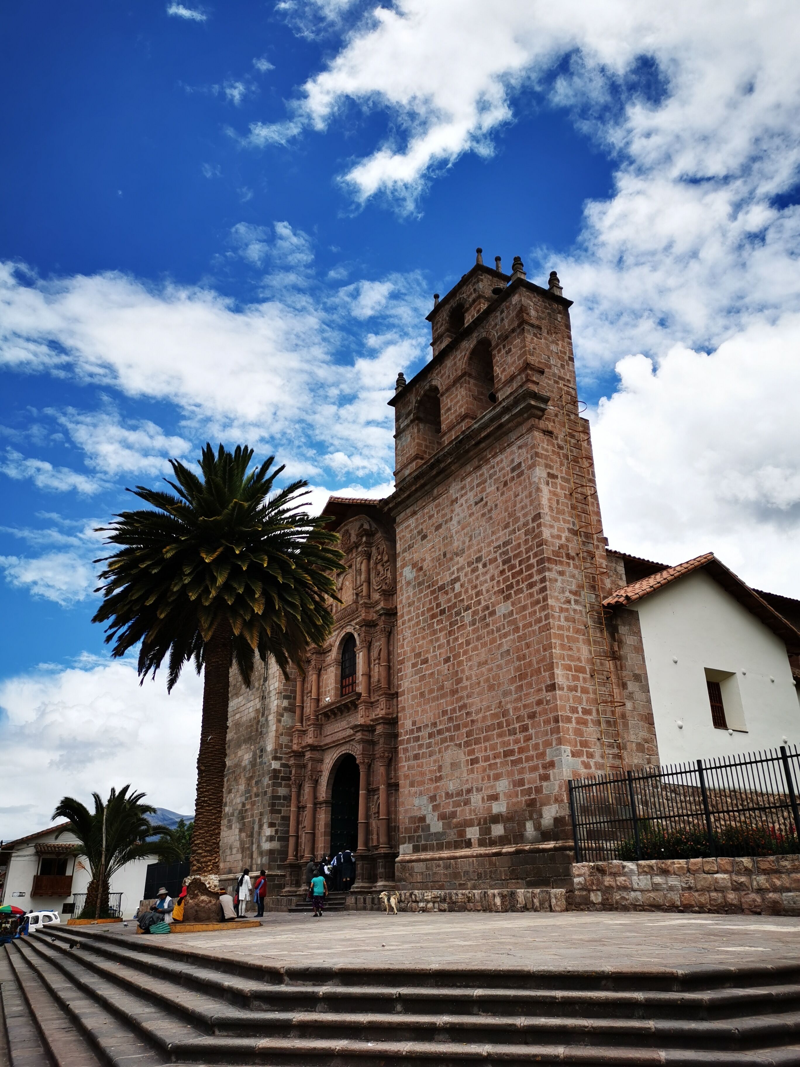 A historic church with a prominent bell tower and a large palm tree in front.