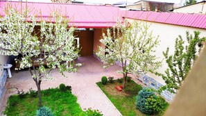 Vista desde la habitación