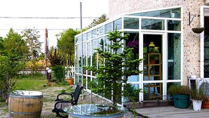 Un edificio moderno con amplios ventanales de vidrio, una terraza de madera y plantas en macetas.
