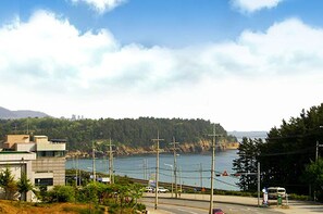 A coastal road with a bridge, a body of water, and a forested hillside.