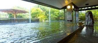 Yunoyama-onsen Green Hotel