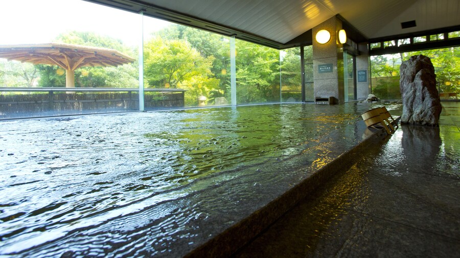 Yunoyama-onsen Green Hotel