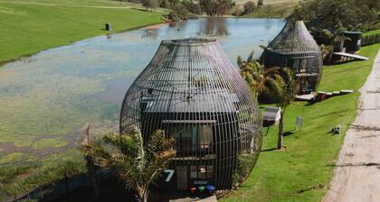 Buff & Fellow Eco Cabins