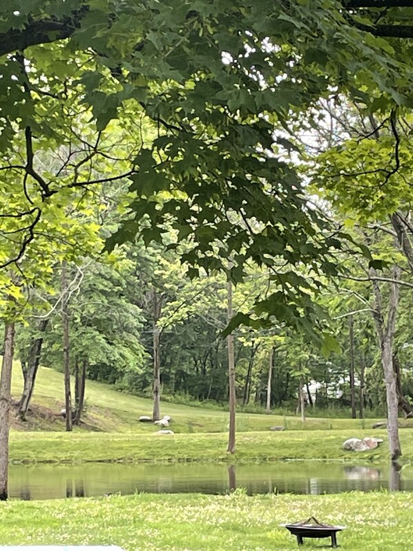 Property grounds - Great Location Easy to find (Saylorsburg)