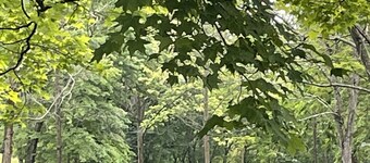 Excelente ubicación Fácil de encontrar