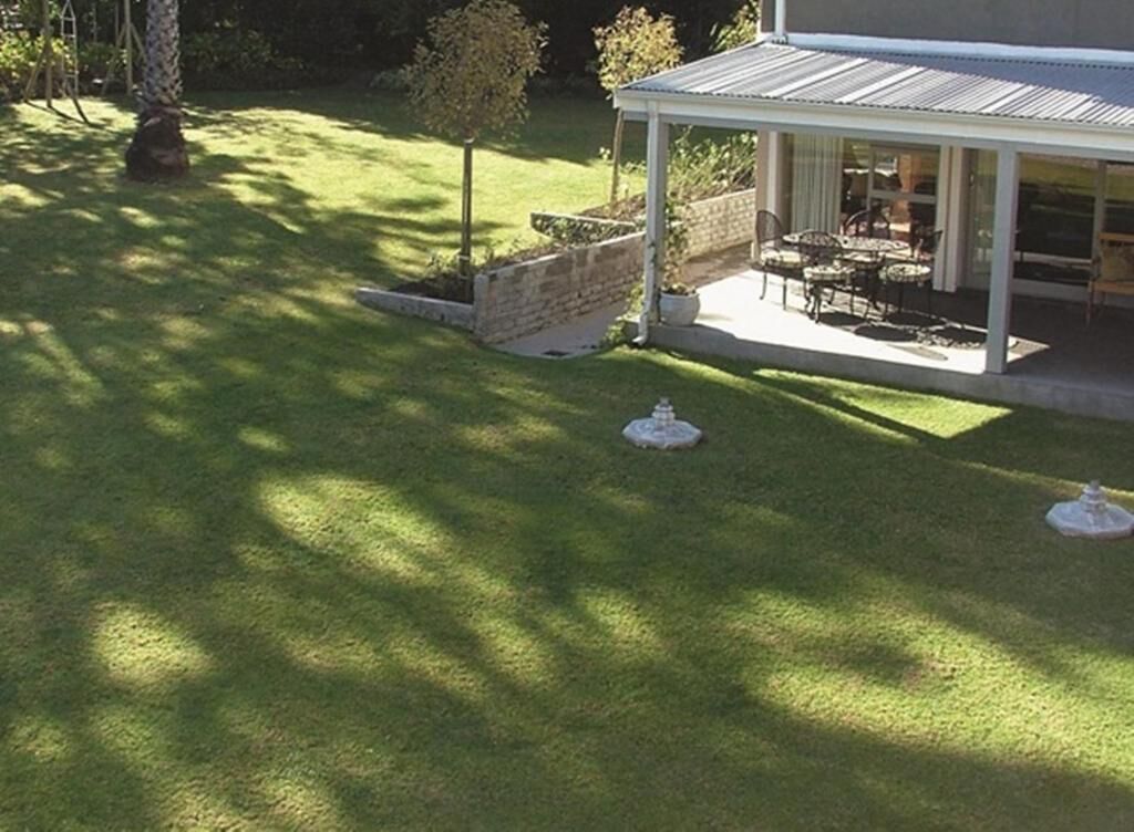 A covered patio area with outdoor furniture and a small tree.