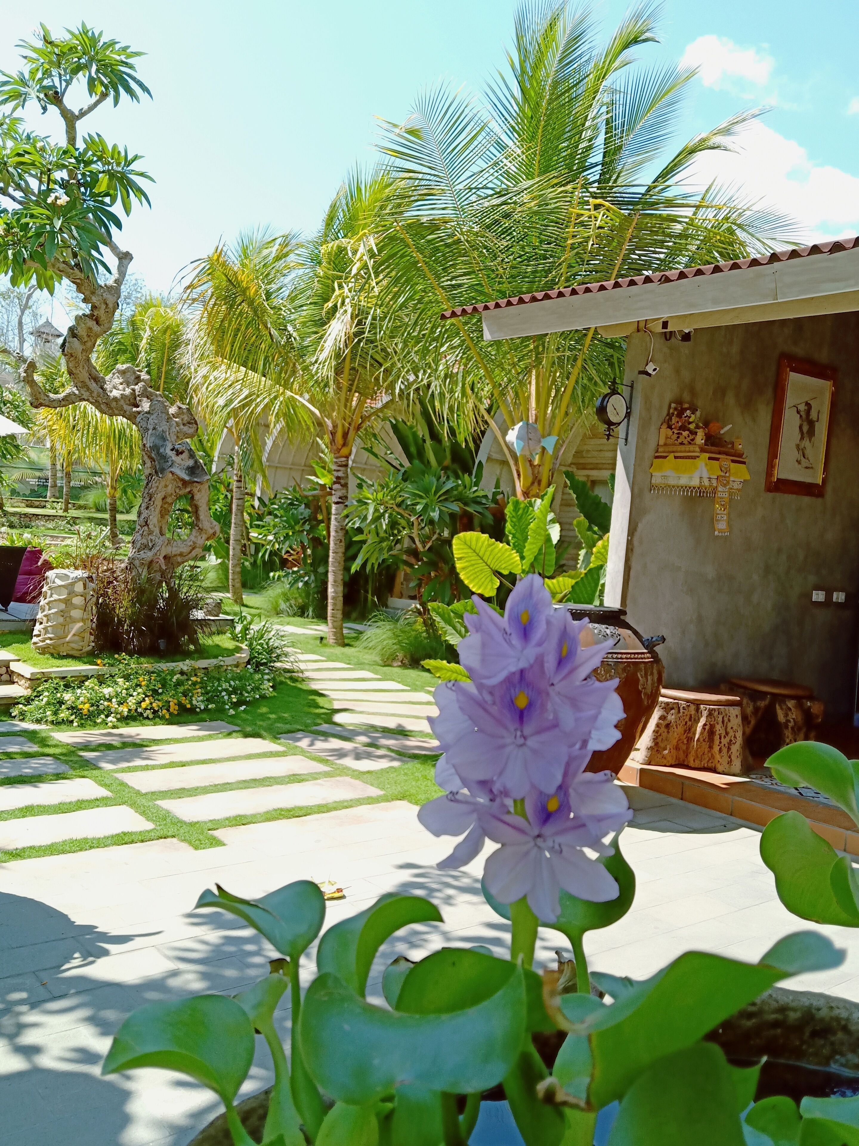 A garden with a pathway, palm trees, and a building with a clock and decorations.