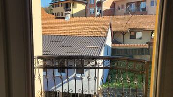 Deluxe Twin Room | Terrace/patio