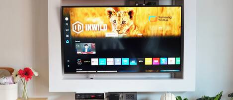 Un televisor de pantalla plana montado en la pared que muestra una interfaz de canal de televisión con varios servicios de transmisión.