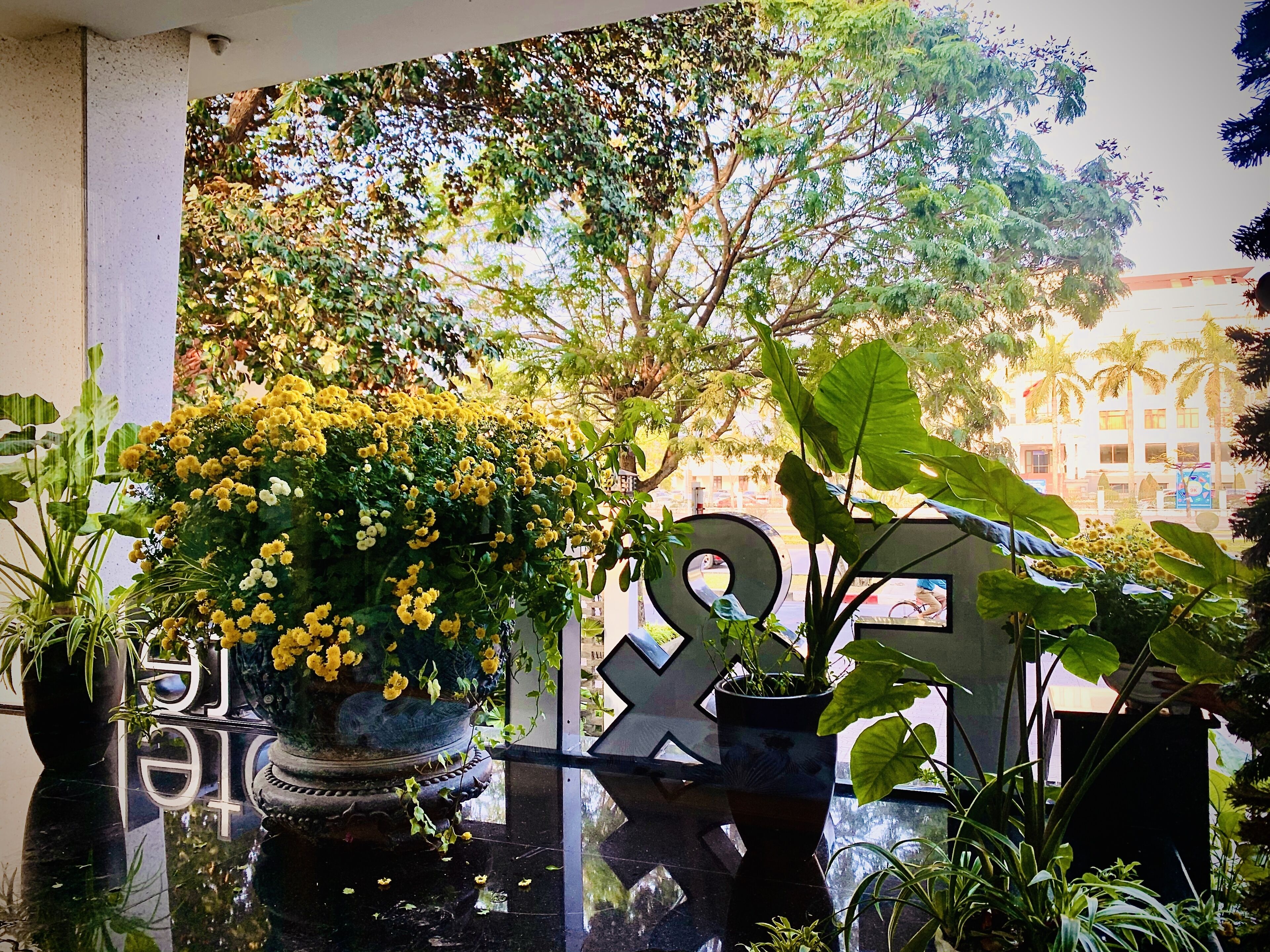 43-inch flat-screen tv with cable channels, tv