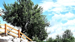 Una escalera de madera que conduce a una zona rocosa con una cascada pequeña.