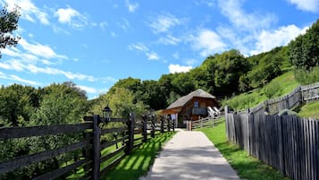 Taman