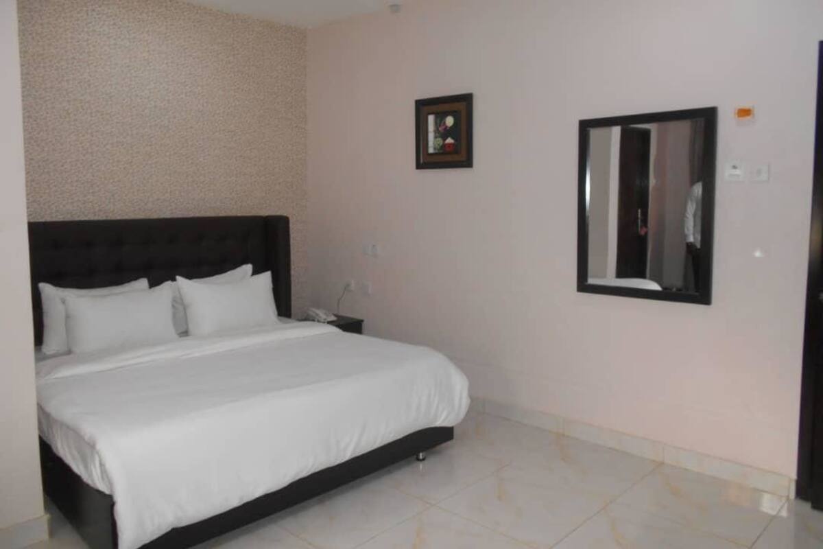 Executive Double Room | Minibar, WiFi (free)