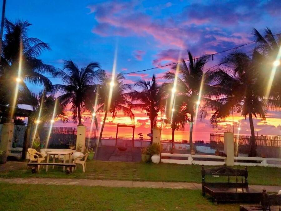 Vista de un atardecer con palmeras y mesas al aire libre.