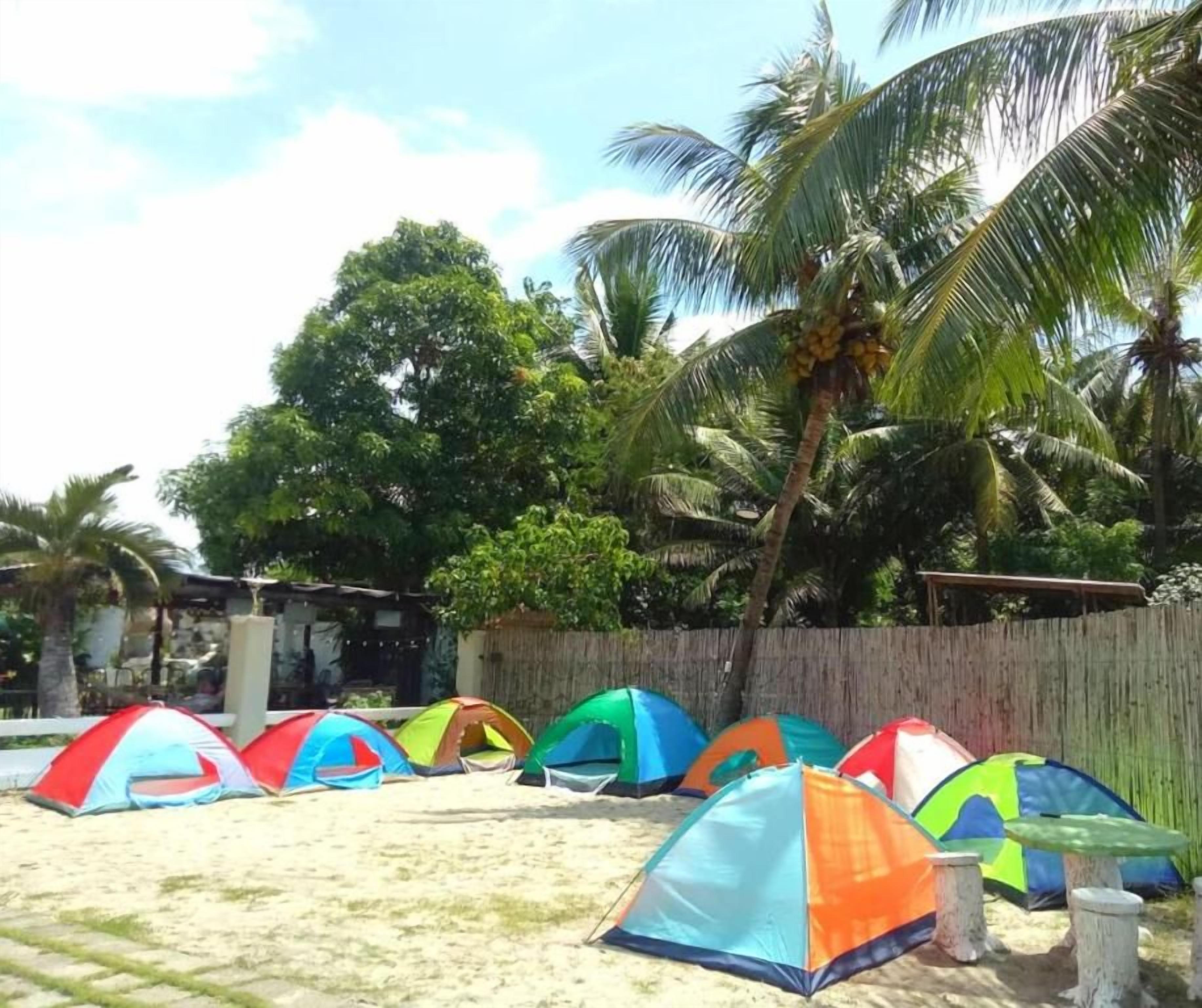 Una hilera de tiendas de campaña coloridas sobre una zona arenosa, con palmeras al fondo.