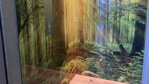 An elevator with a forest mural, control panel, and emergency instructions.