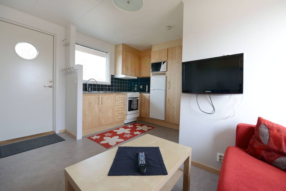 Studio | Soundproofing, iron/ironing board (on request), travel crib
