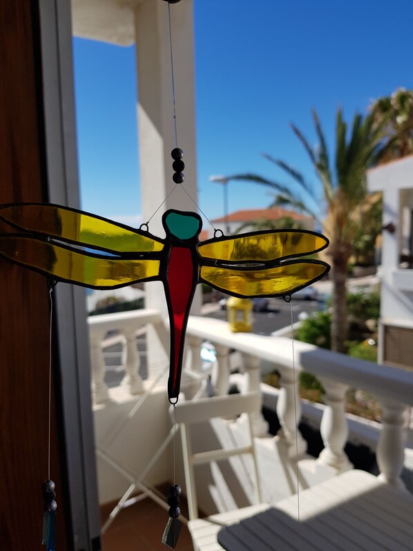 Property grounds - The Magic Dragonfly! (Santa Cruz de Tenerife)