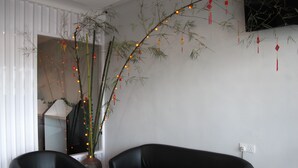 Una sala moderna con un sofá de cuero negro, una mesa de centro de vidrio y una planta de interior grande con adornos colgantes.