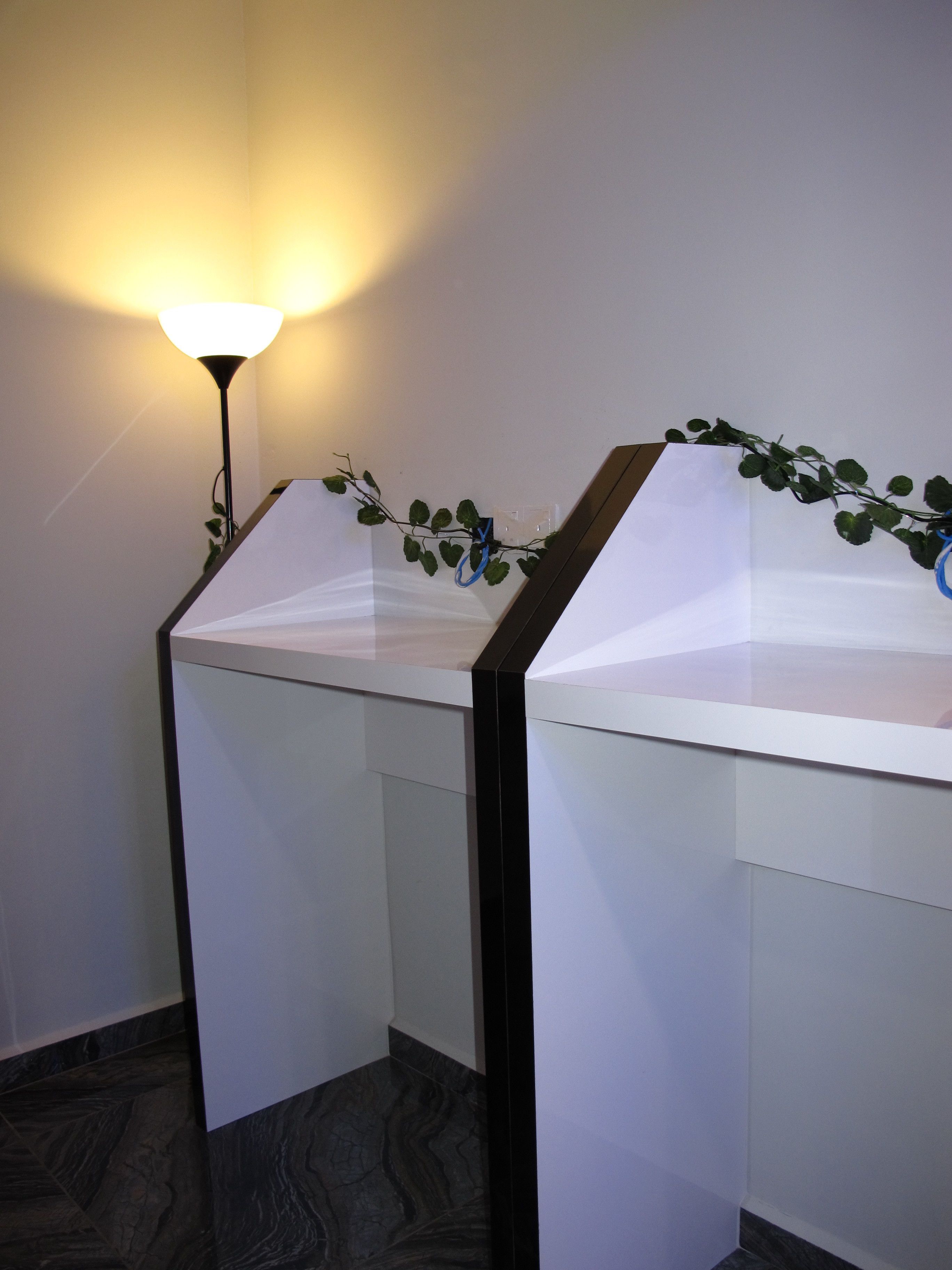 Dos lavamanos blancos con marcos negros, una lámpara de pared y una planta decorativa.