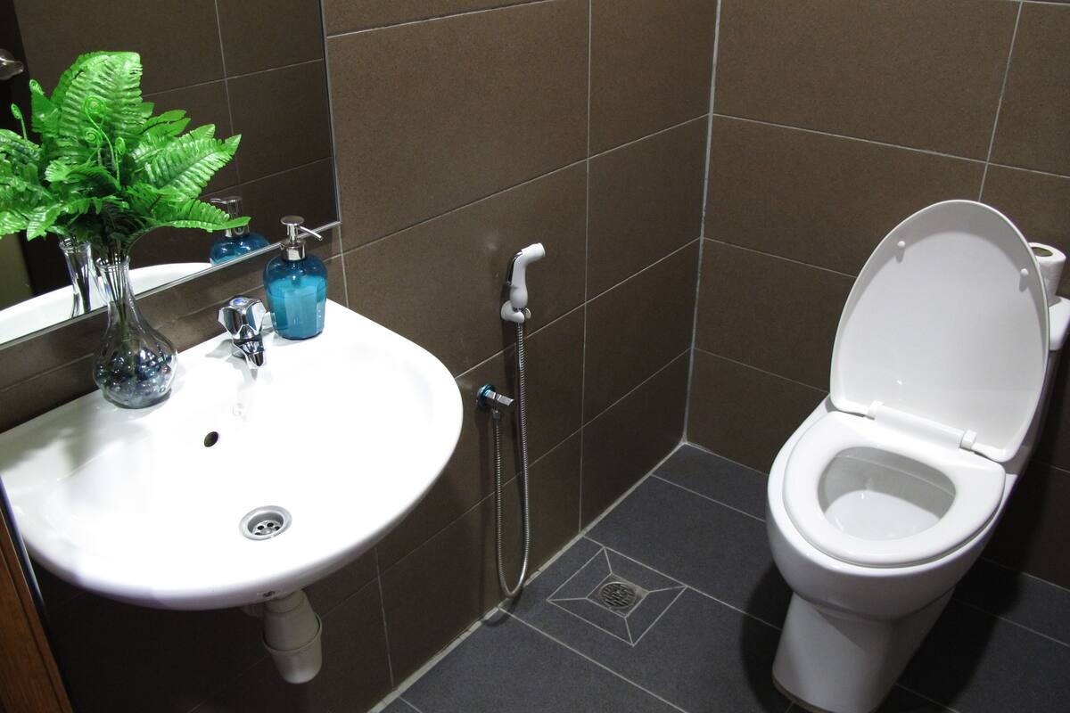 shower, hair dryer, slippers, bidet