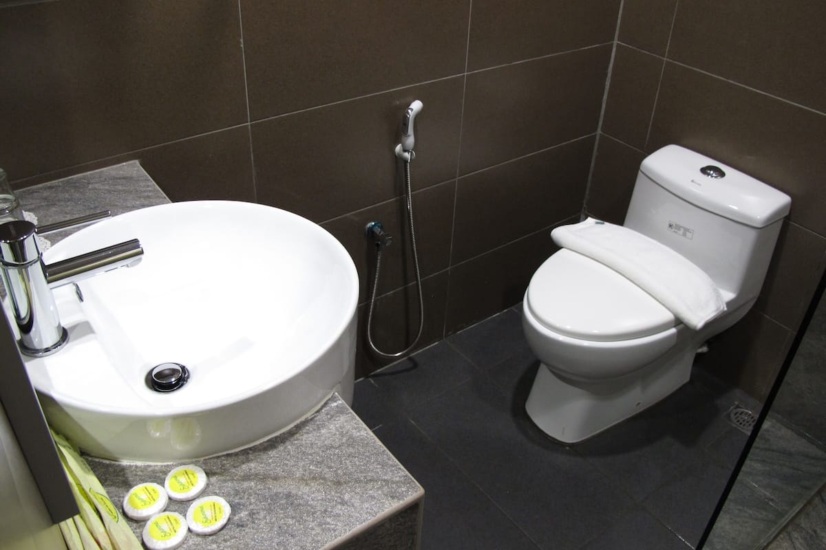 shower, hair dryer, slippers, bidet