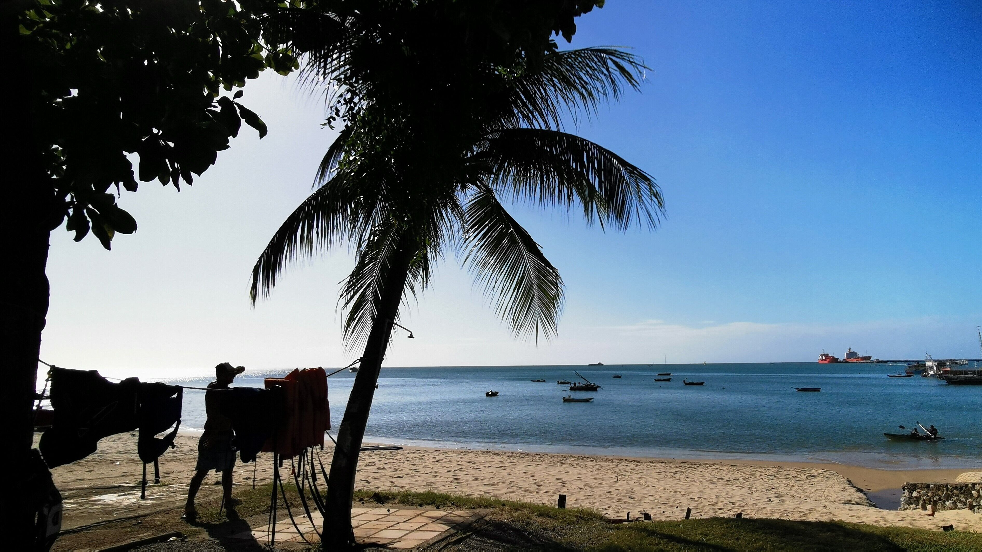 Una playa con una palmera, una orilla arenosa y barcos en el agua.