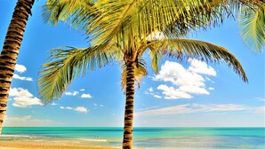 Ein Strand mit Palmen und wolkenlosem, blauem Himmel.