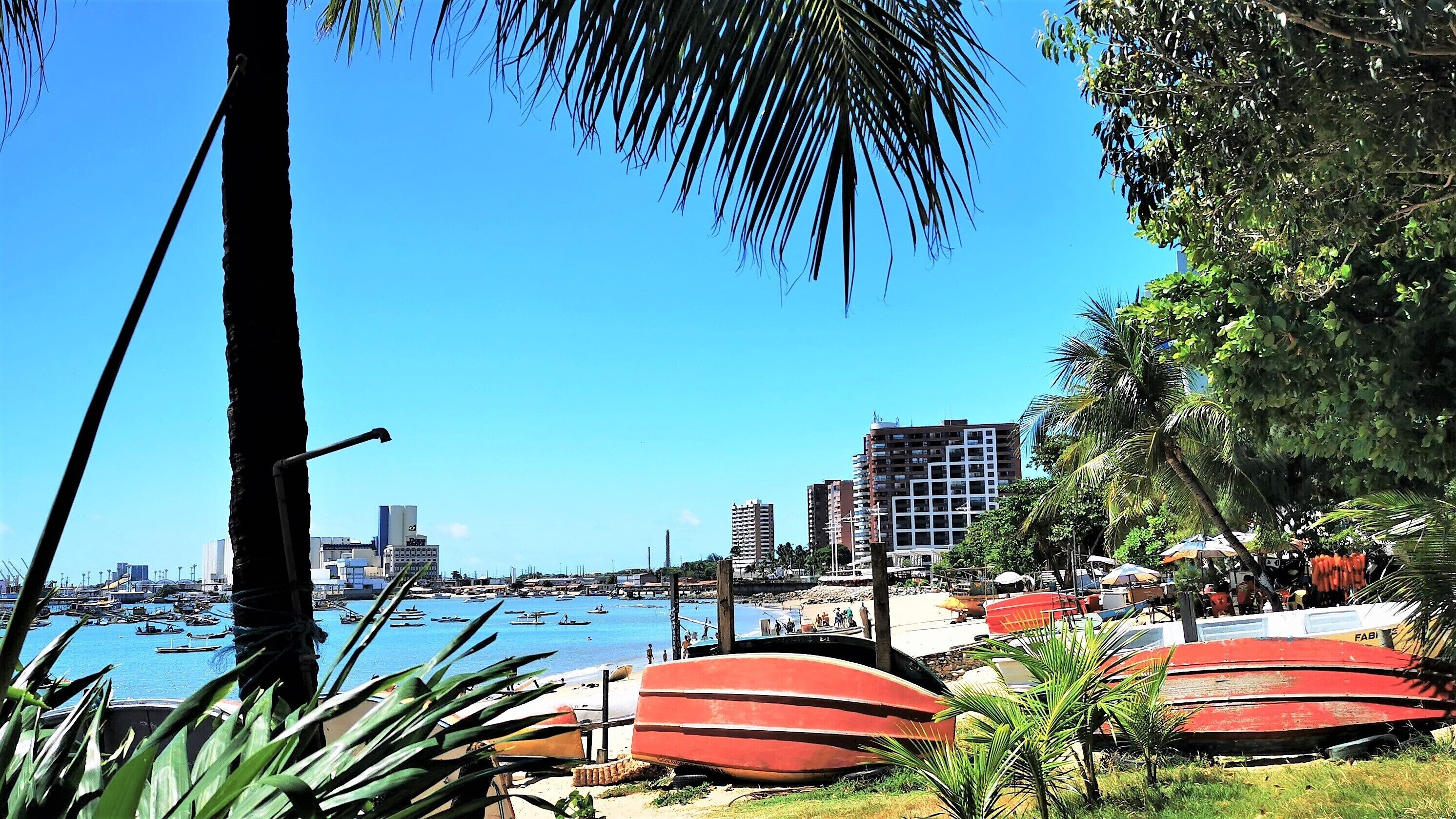 Vista costera con barcos, palmeras y edificios.