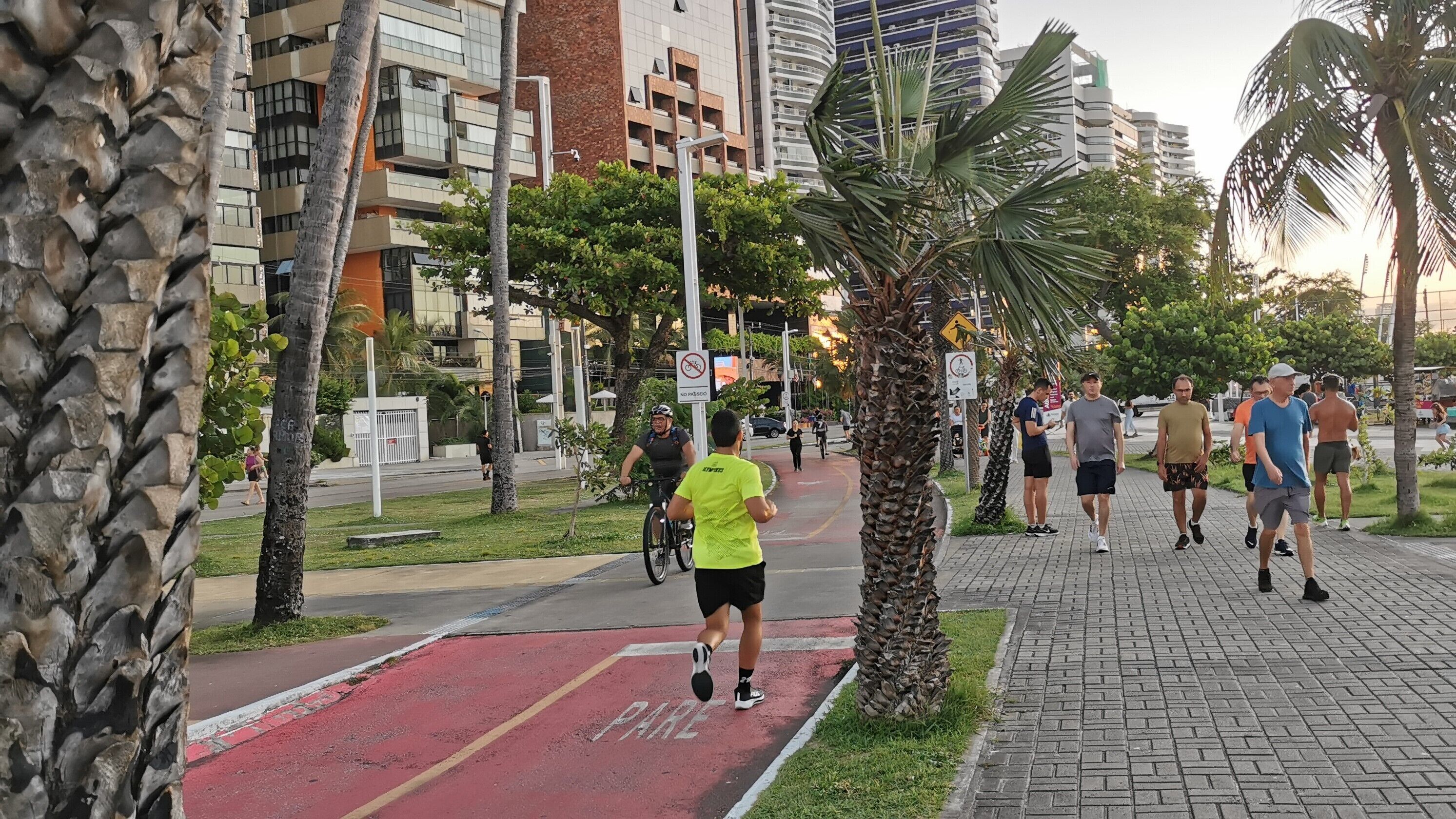 Un camino pavimentado con un carril bici rojo, palmeras y edificios modernos al fondo.