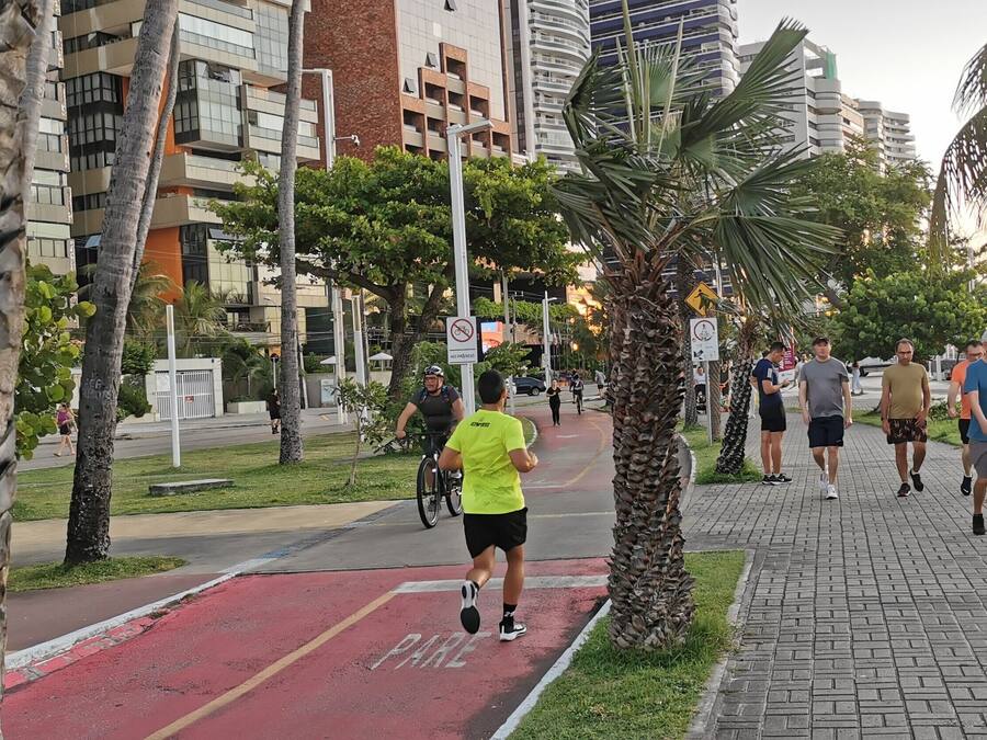 Un camino pavimentado con un carril bici rojo, palmeras y edificios modernos al fondo.