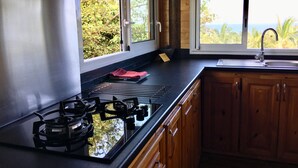 Eine Küche mit Gasherd, Holzschränken, einem Fenster mit Blick auf Grünfläche und Meer sowie einem Spülbecken.