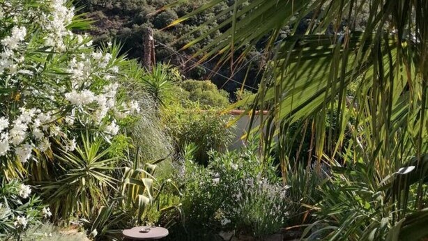 Property grounds - Casa linde, pool, mountain view, Mediterranean sea (Sorède)