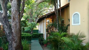 Un camí estret que porta a un edifici amb un rellotge a la paret, envoltat de vegetació exuberant i plantes en testos.