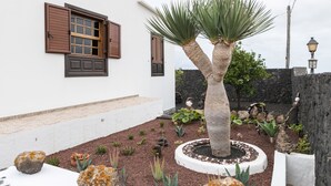 Un edificio blanco con ventana y contraventanas, un jardín con diversas plantas y una palmera, además de un muro de piedra.